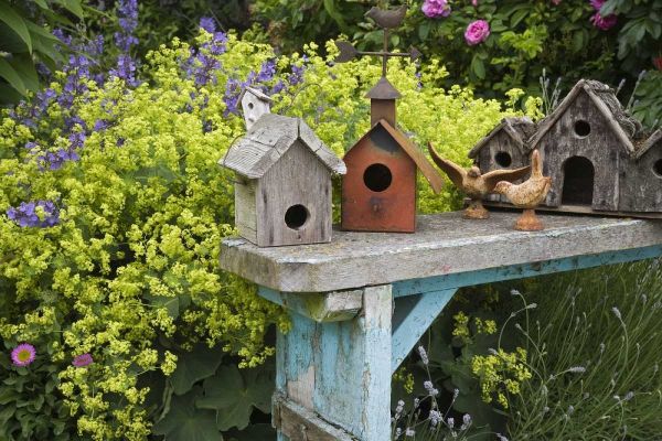 Bird houses on bench in garden
